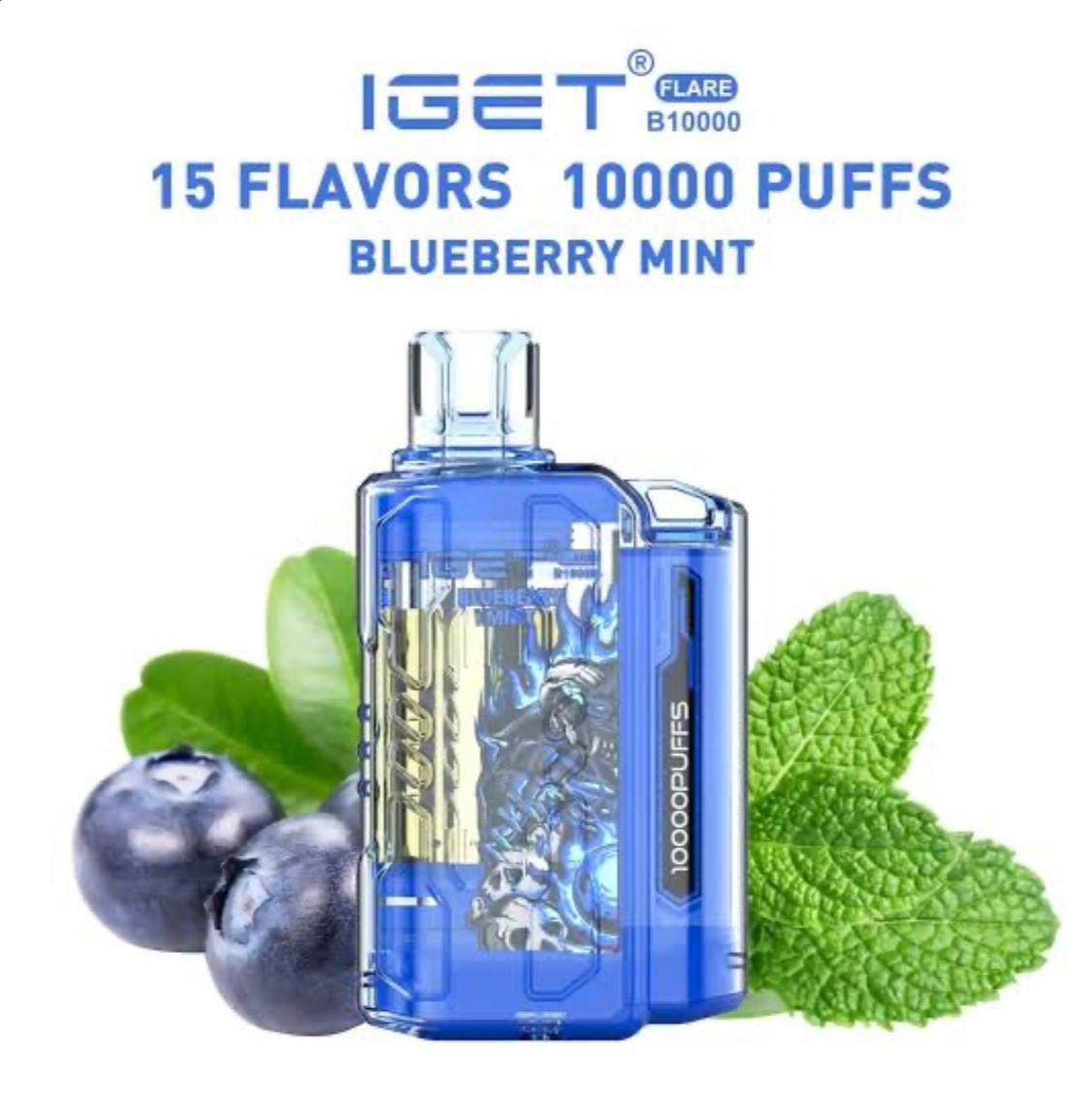 Buy IGET FLARE B10000 Puffs online India | Disposable vape